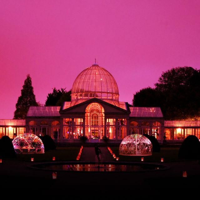 Syon House Great Conservatory Updated British Restaurant In