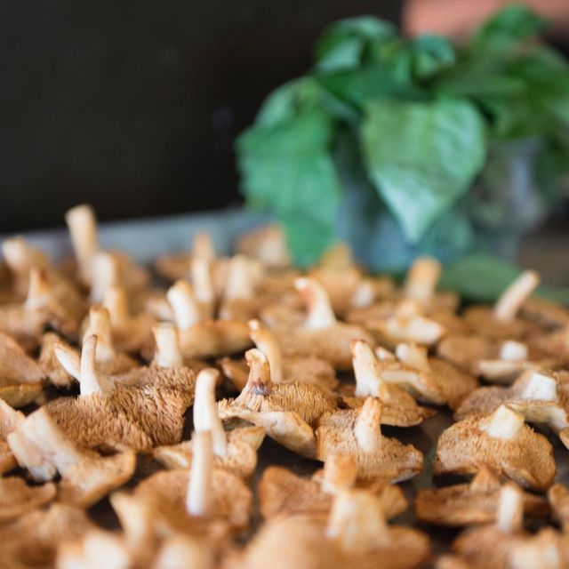 Revival Bar Kitchen Restaurant Berkeley Ca Opentable