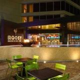 Cover image for Roost