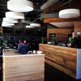 Cover image for Yokozuna - Yale St