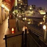 Cover image for Killer Shrimp - MDR