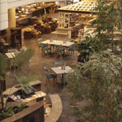 Market Cafe - Grand Hyatt Dubai