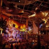 JIMMY BUFFETT’S MARGARITAVILLE at Universal CityWalk Private Dining