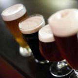 Cover image for Market Garden Brewery