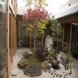 Cover image for Momiji Capitol Hill