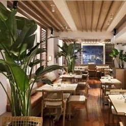 Tommy Bahama Bar & Restaurant Heats Up Midtown Manhattan