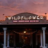 Wildflower - Tucson
