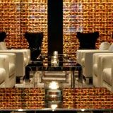 Cover image for Primo Bar