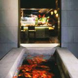 Cover image for Uchi Austin