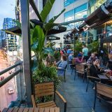 Cover image for Jack Astor's - Toronto (Yonge & Dundas)