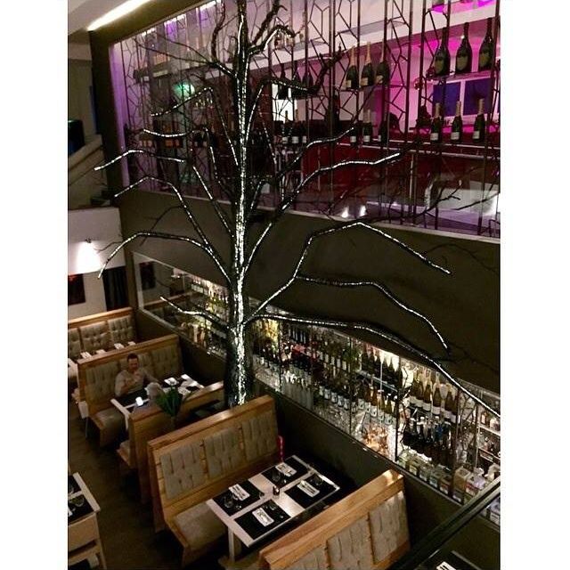 Sakana Pan Asian Bar and Restaurant Mis à jour en 2024, Restaurant