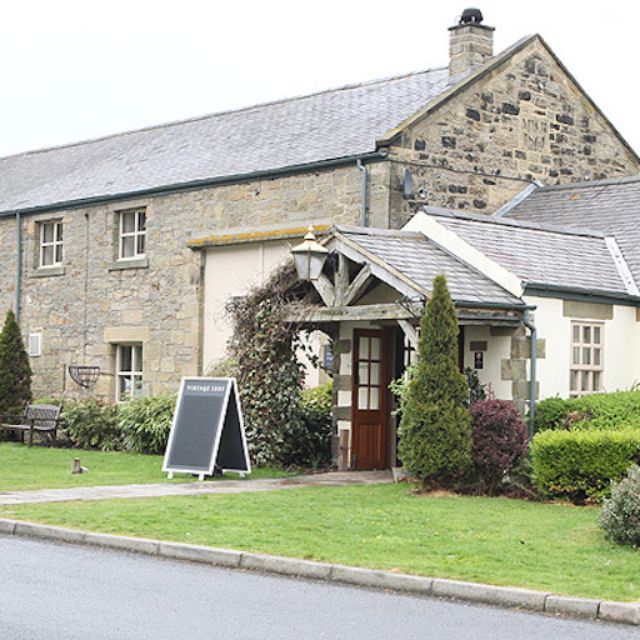 The snowy owl actualizado en 2024 restaurante internacional en