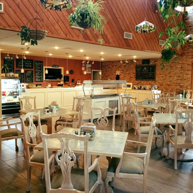 Honey Tree Updated 2024, American Restaurant in Tyler, TX