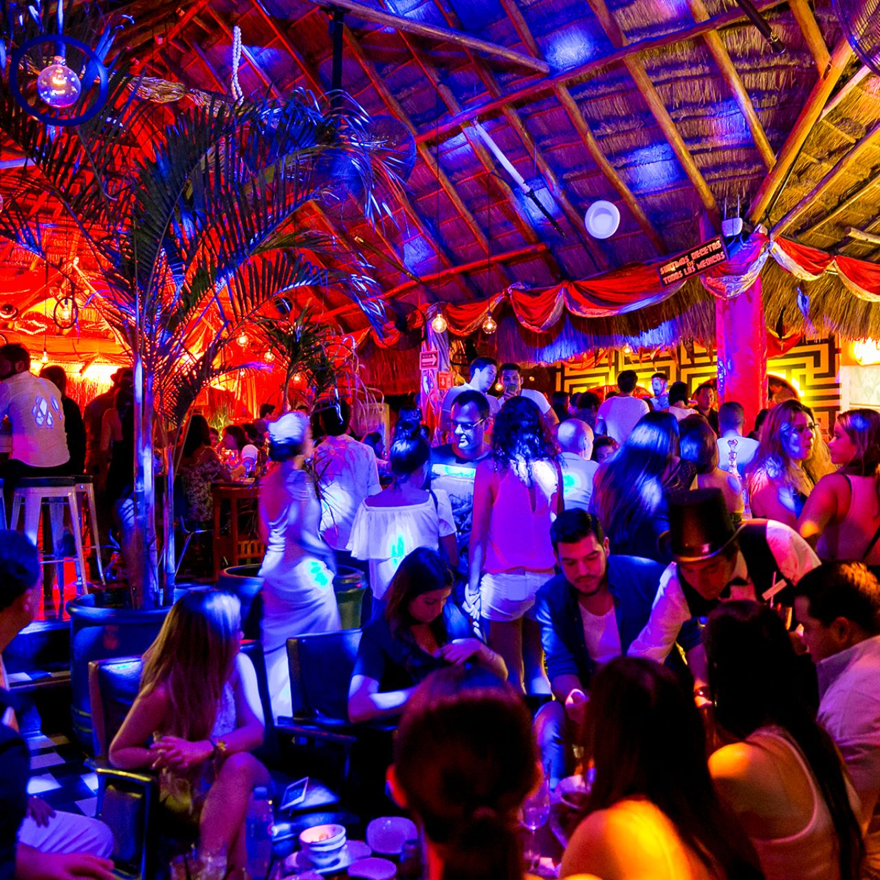 Diablito Cha Cha Cha Restaurant Playa del Carmen ROO OpenTable