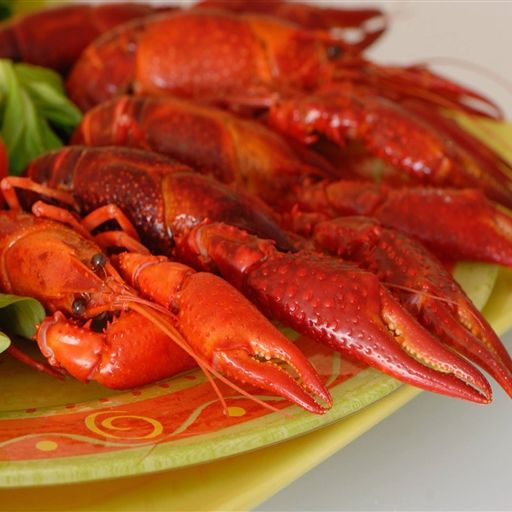 Cajun Crab Pub & Grill Restaurant Irving, , TX OpenTable