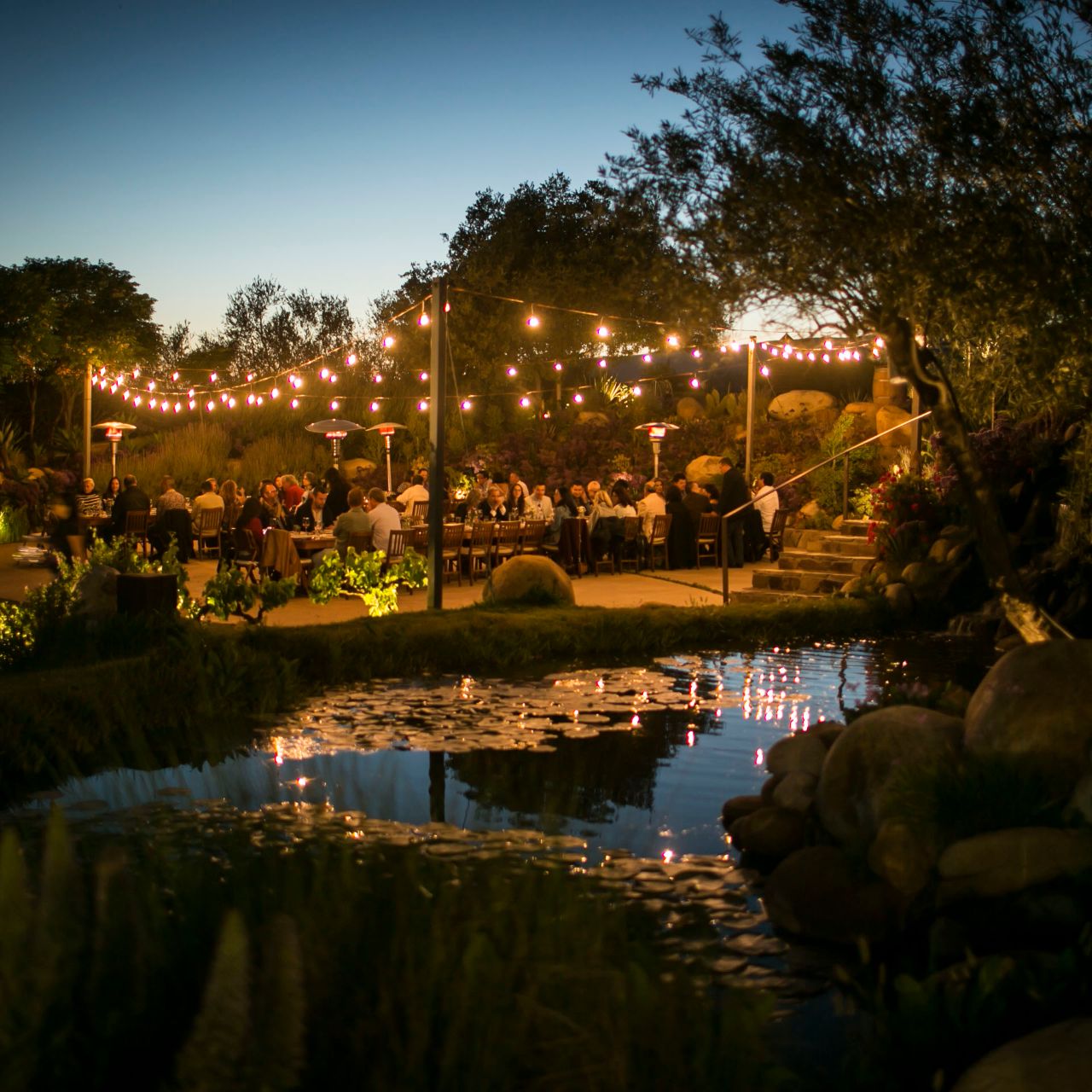 Recolectar 112+ images viñedo la lomita ensenada Viaterra.mx