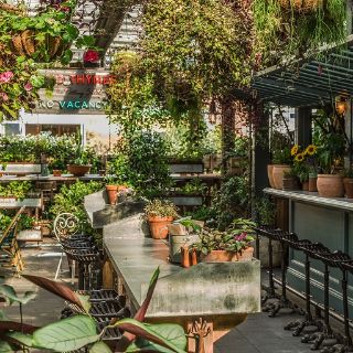 The Potting Shed