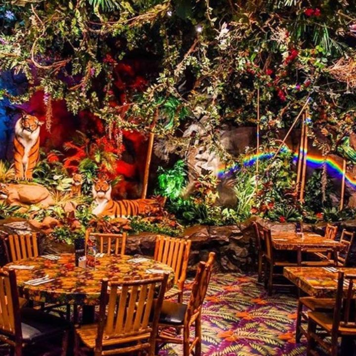 Rainforest Cafe - Chicago Woodfield Restaurant - Schaumburg, IL