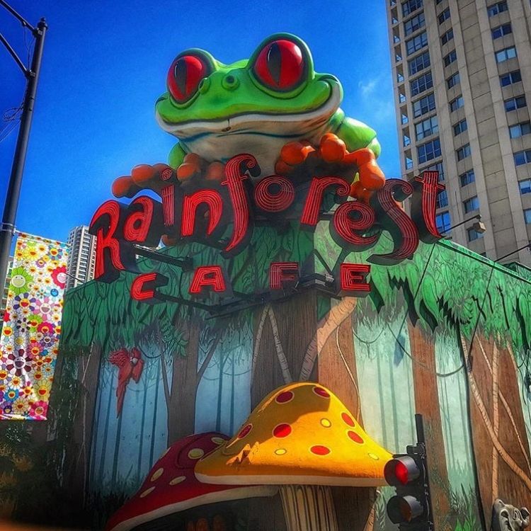 Rainforest Cafe Chicago Closing - nature wallpaper