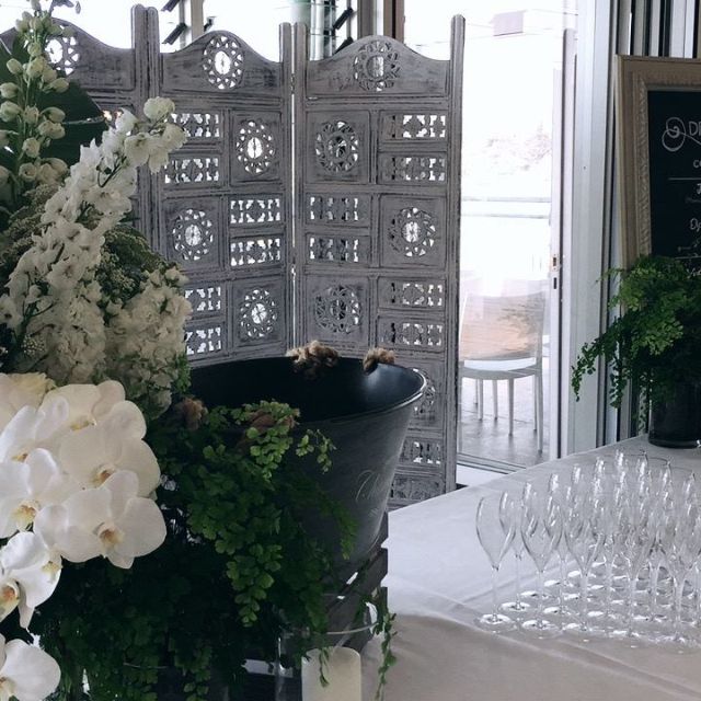 ecco birkenhead point