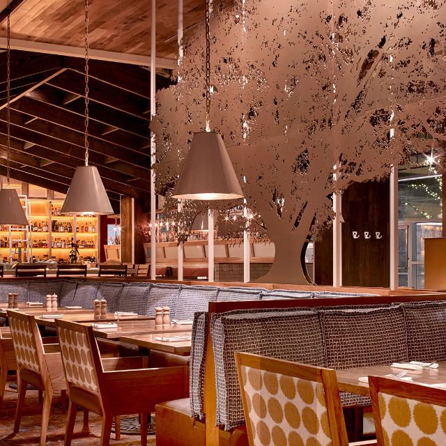 Founding Farmers VA: Tysons Restaurant - Tysons Corner, VA | OpenTable