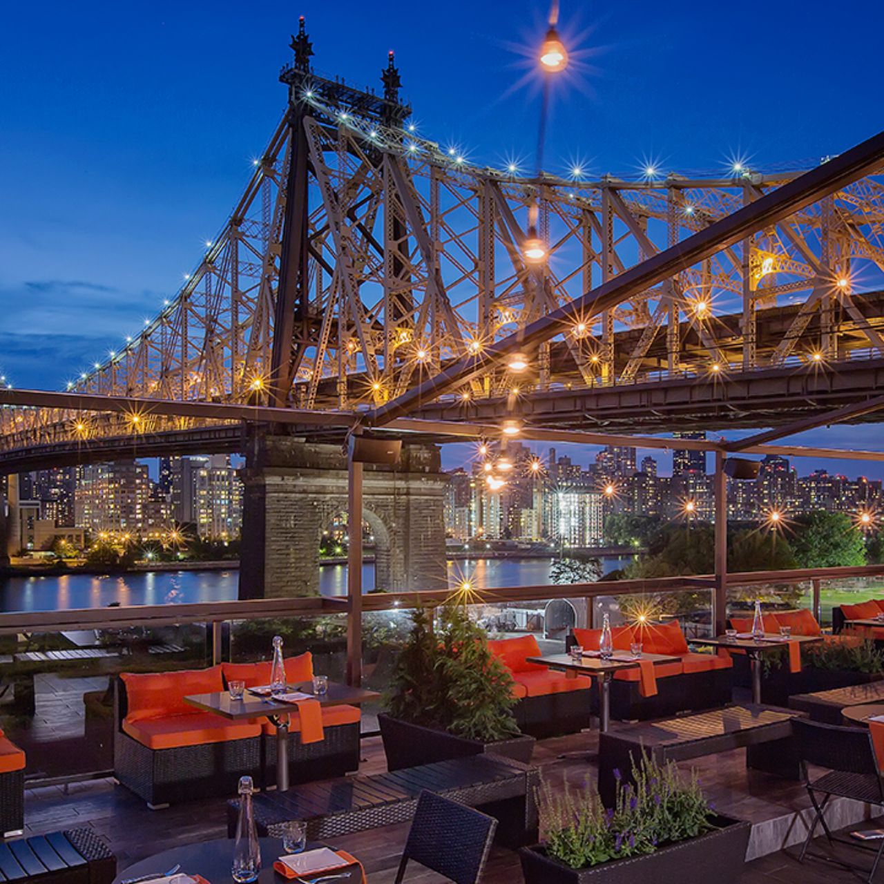 Four Clubs in One Night Bridge Party Supplies 20 Bridge Napkins for Bridge Groups