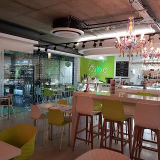 Vibe Turkish Restaurant