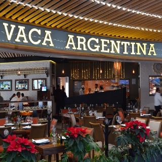 Vaca Argentina - Manacar