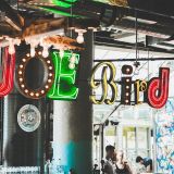 Cover image for Joe Bird
