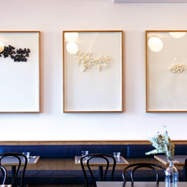 Muse Food, Wine & Books Updated 2024, Australian Restaurant in