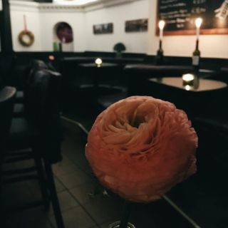Kork Genuss Weinbar & mehr