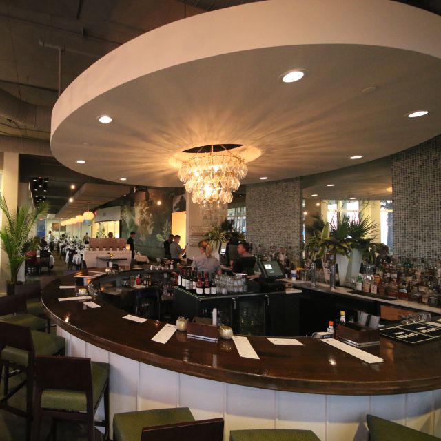 Surfing Deer Updated 2024, Contemporary American Restaurant in Santa