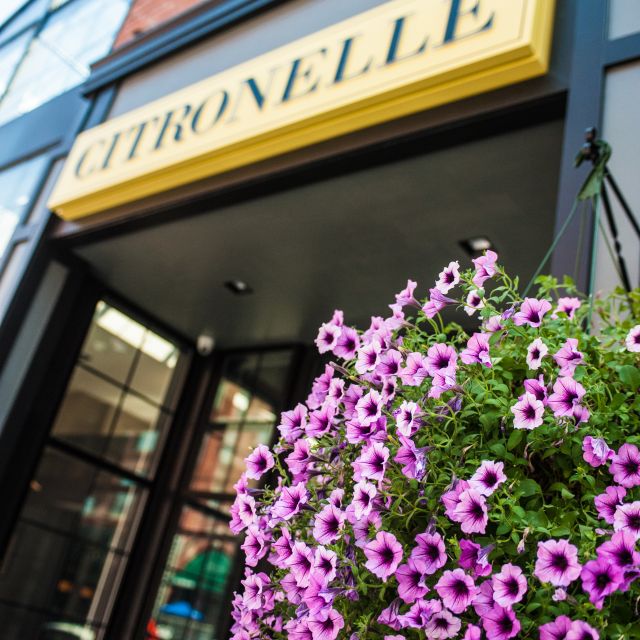 CitronelleSyracuse Updated 2024, Contemporary American Restaurant in