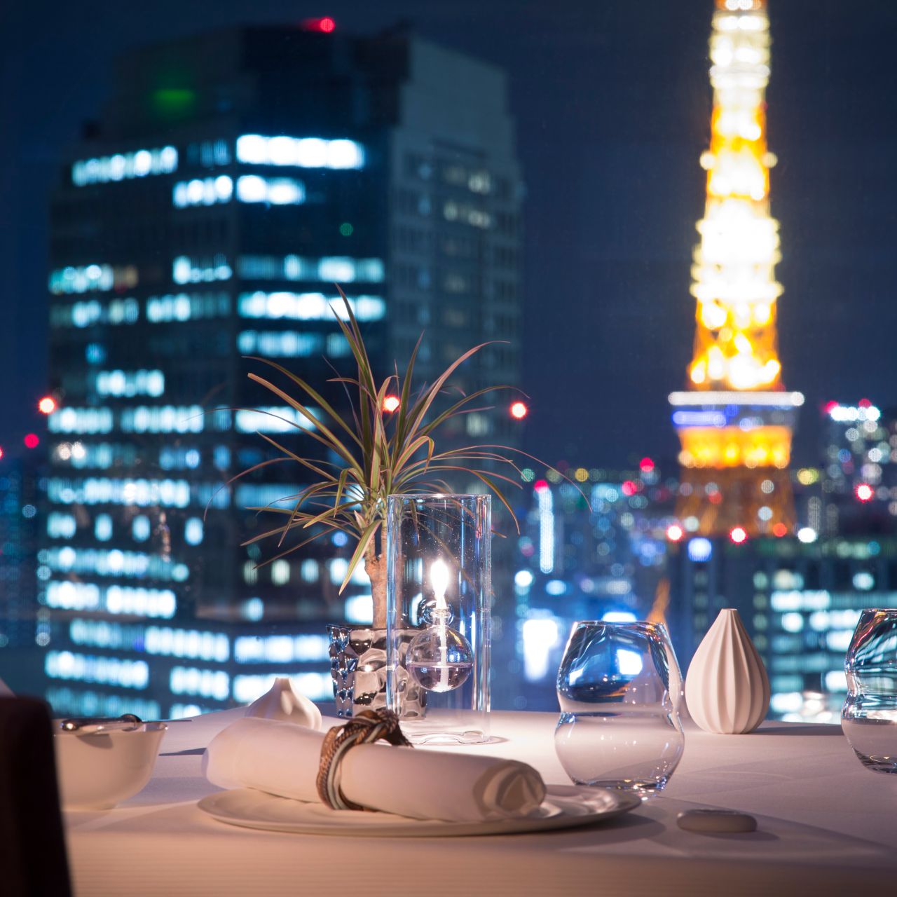 新フランス料理 ピエール・ガニエールの味 （ピエール