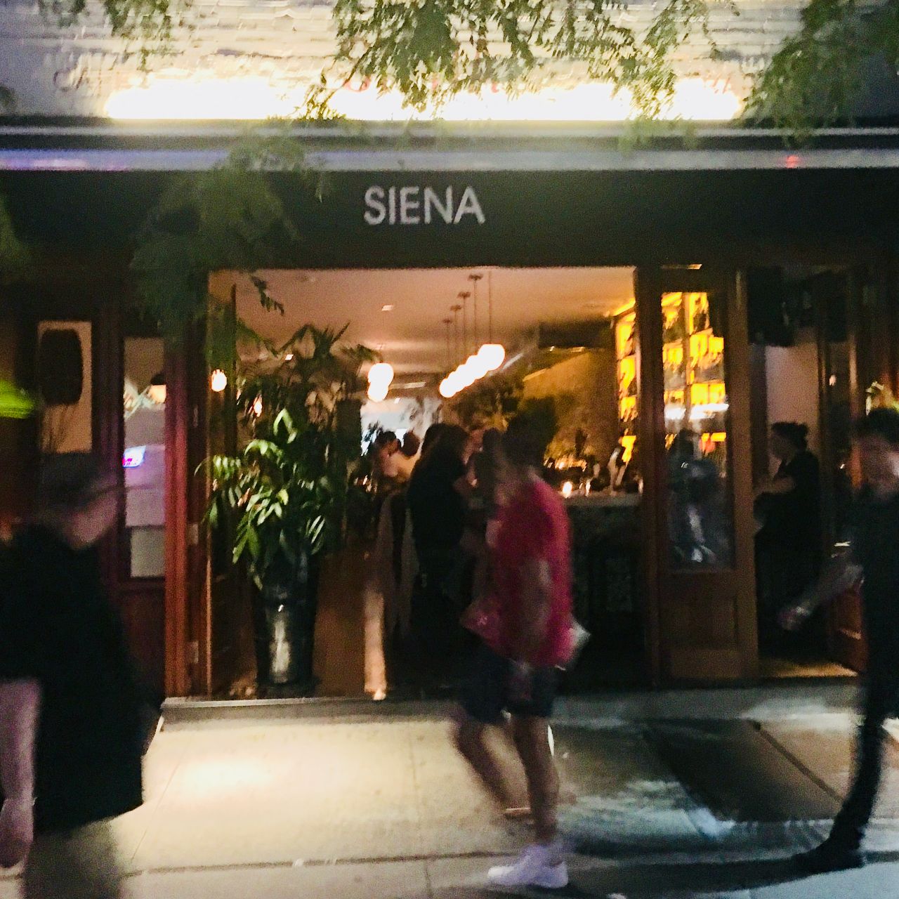 Siena Cafe Restaurant New York Ny Opentable