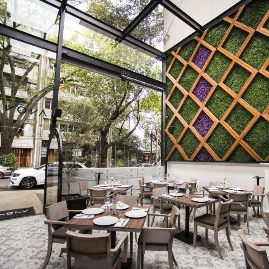 Restaurante An nimo Cocina Zona Polanco Ciudad de M xico CDMX