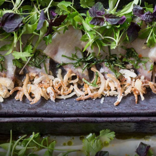 Sea Bass Ceviche - e&o, London