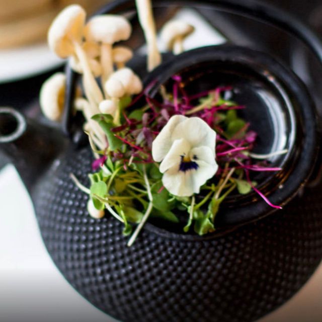 Miso Soup - e&o, London