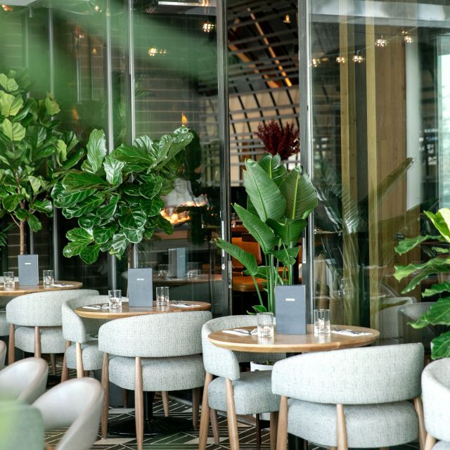 Earls Kitchen + Bar South Commons Edmonton Edmonton, AB OpenTable