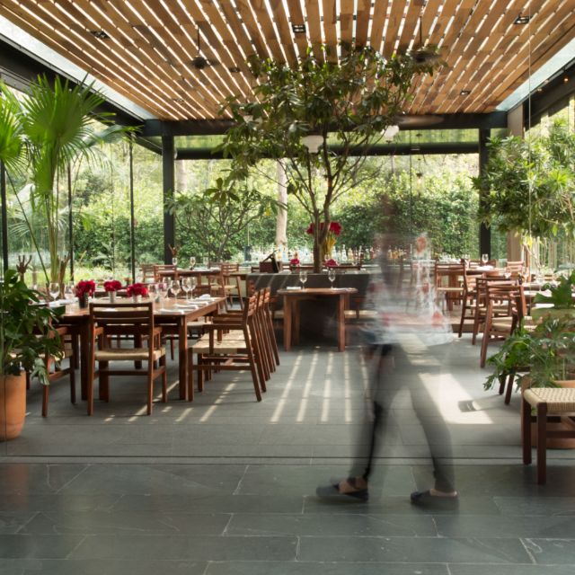 Cascabel Restaurant - Ciudad de México, CDMX | OpenTable