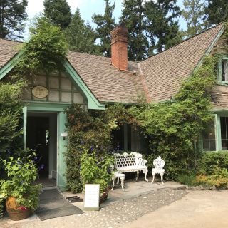 The Camellia Tea Room at Milner Gardens & Woodland