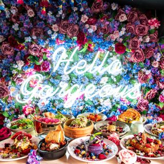 Social Hideout - Parramatta