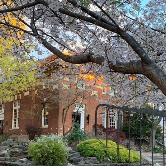 Cheers at The Old Post Office Restaurant Fayetteville, AR OpenTable