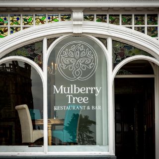 Mulberry Tree