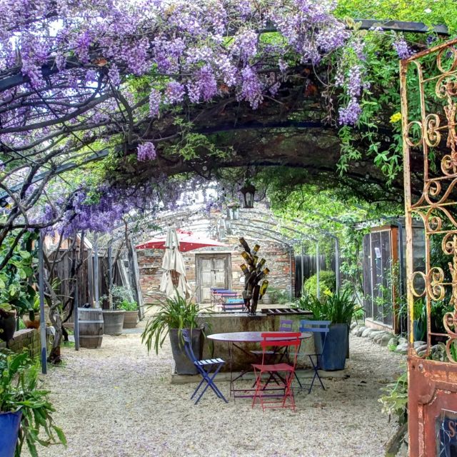 Corkscrew Cafe Updated 2024, Contemporary American Restaurant in