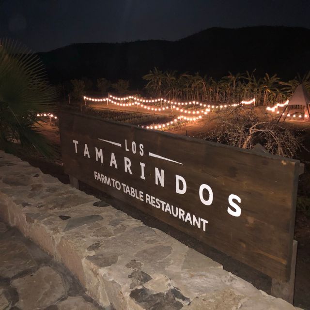 Los Tamarindos Restaurante - San José del Cabo, BCS | OpenTable