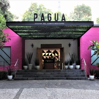 PAGUA Cocina del Campo Mexicano