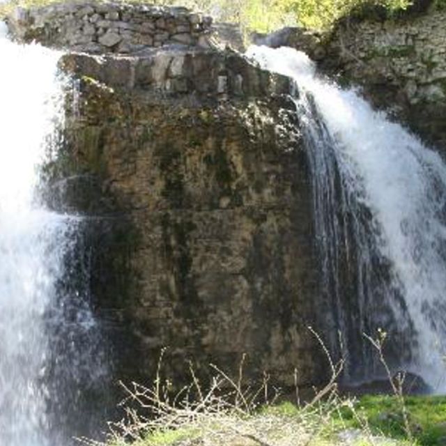 The Falls Inn Walters Falls Restaurant Walters Falls, ON OpenTable