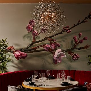 Blossom Dim Sum & Grill