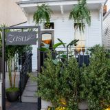 Cover image for Zasu